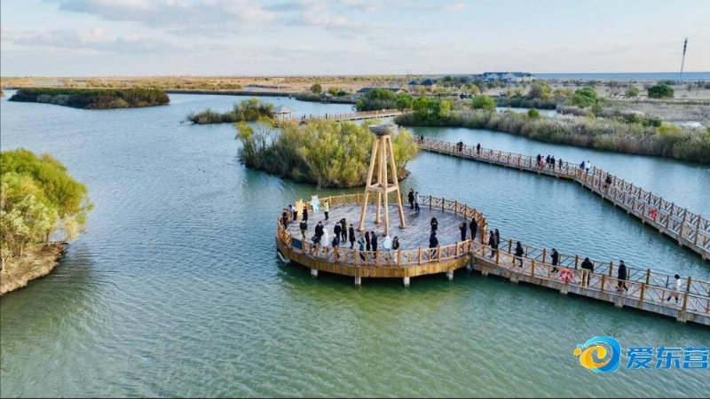 靠精准的快 靠精准的快