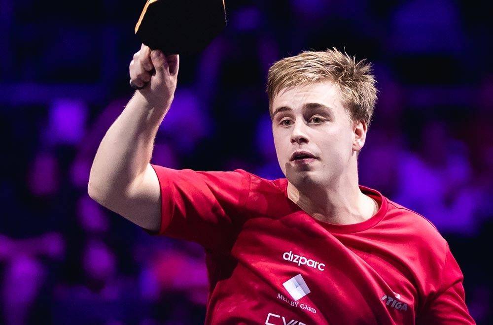 津门虎和梅 津门虎和梅